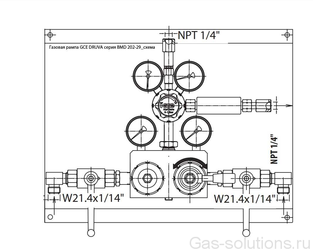 Газовая рампа GCE DRUVA серия BMD 202-29_схема