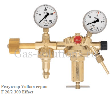 Редуктор Vulkan серии F 20/2 300 Effect