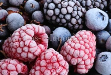 Крио заморозка ягод